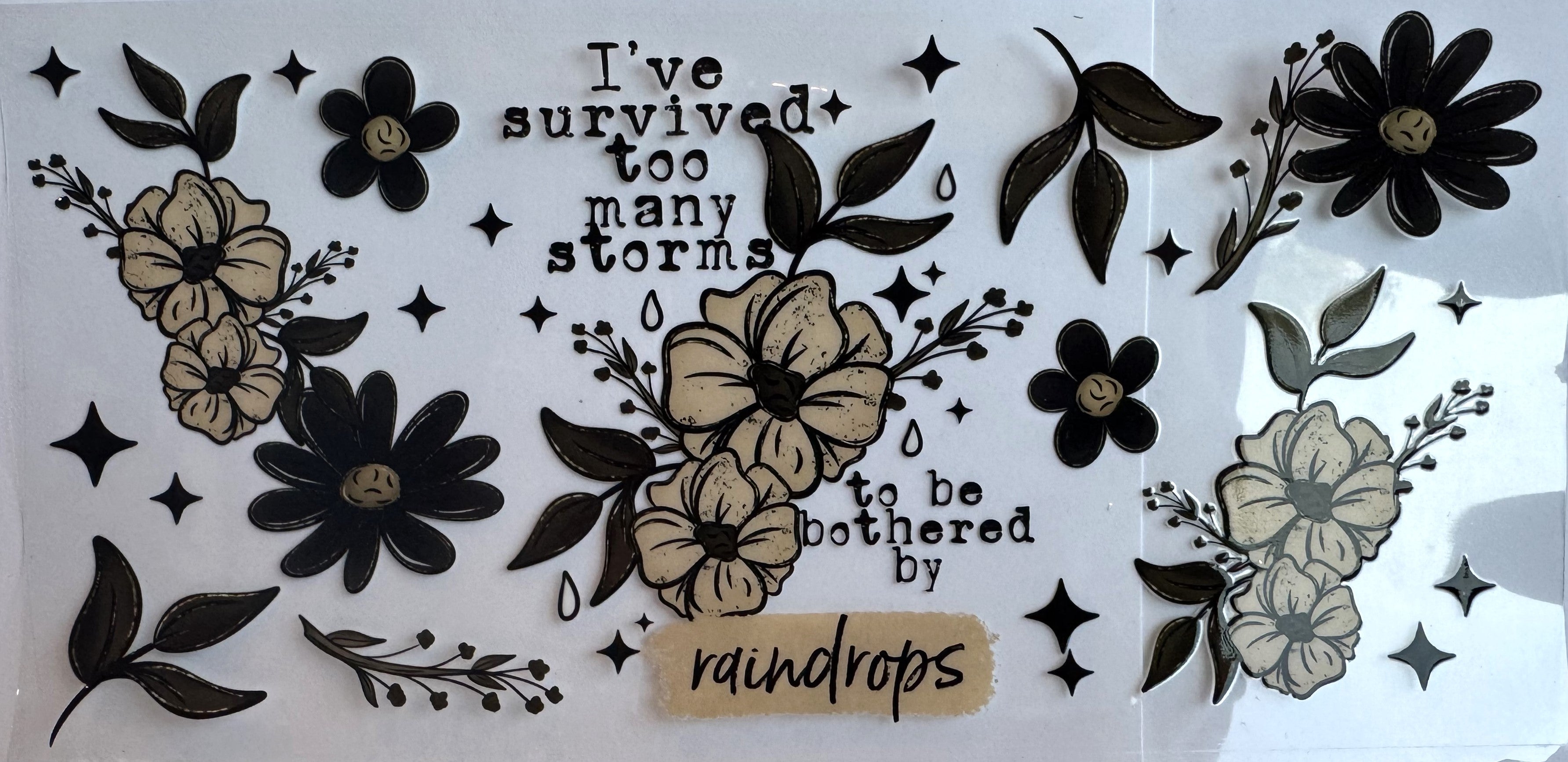 I've survived to many storms to be bothered by raindrops (36)