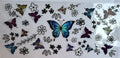 Butterflies (66)