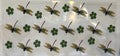 Dragonflies (82)