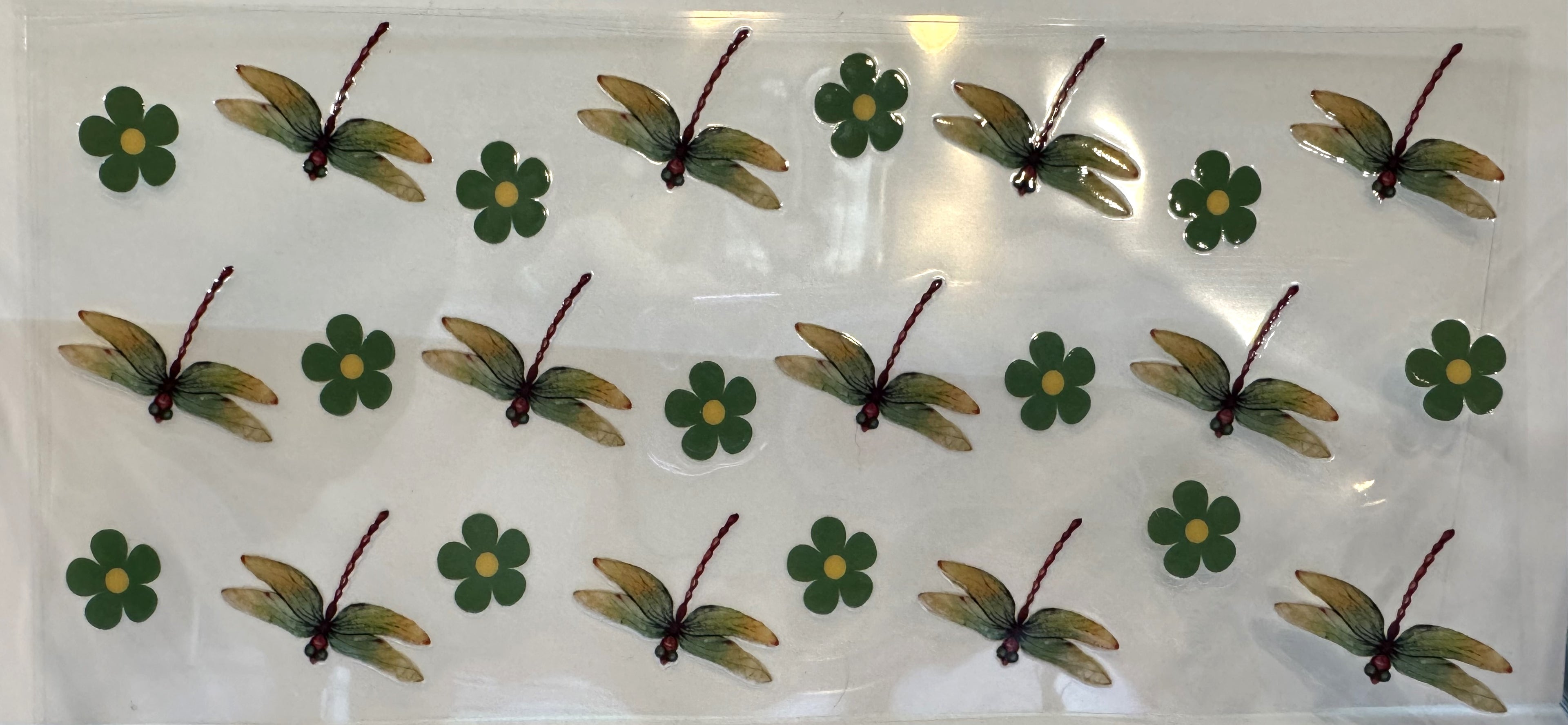 Dragonflies (82)