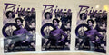 Prince (84)