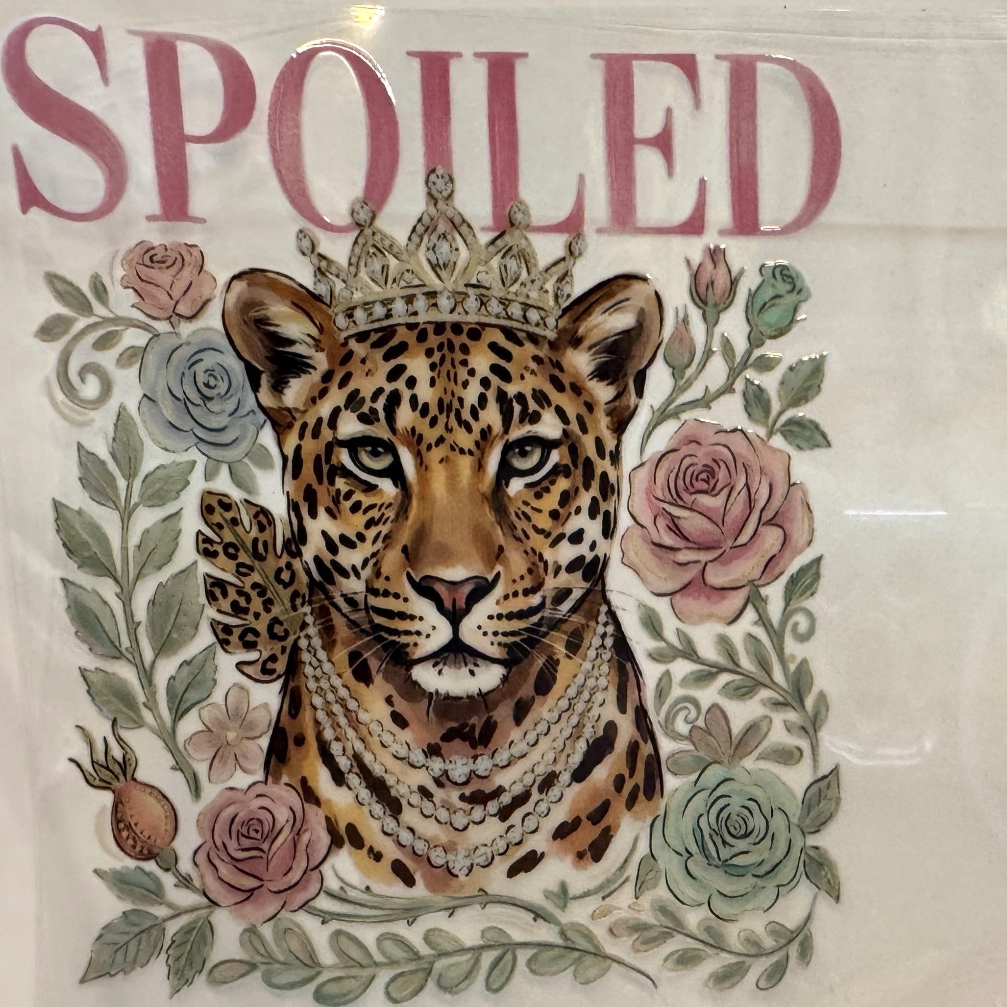 Spoiled cheetah/leopard (72)